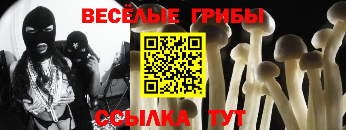Псилоцибиновые грибы ЛСД Апшеронск